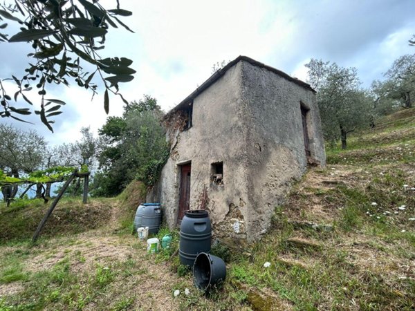 pentavano in vendita ad Arcola in zona Trebiano