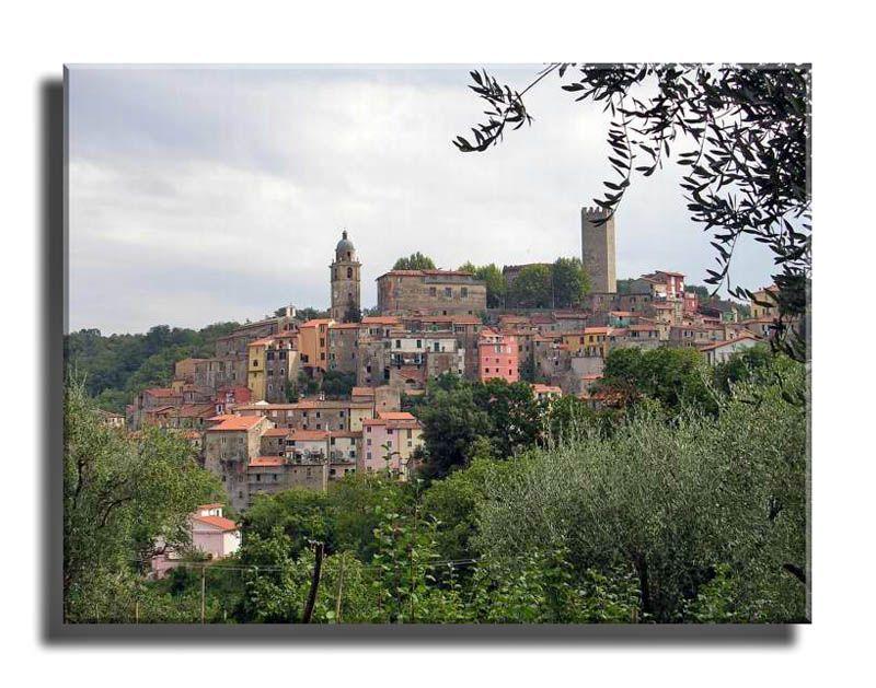 terreno agricolo in vendita ad Arcola