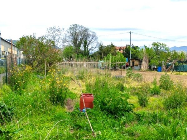terreno agricolo in vendita ad Arcola