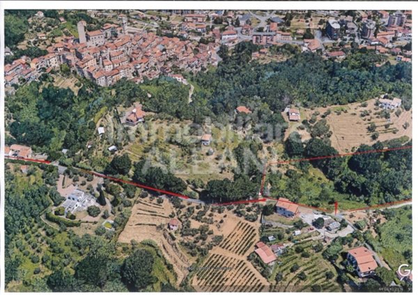 terreno agricolo in vendita ad Arcola