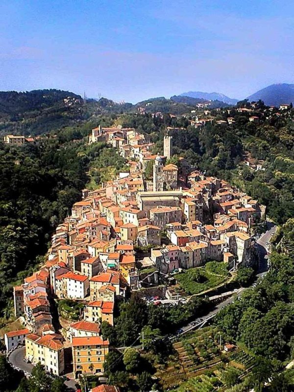 pentavano in vendita ad Arcola