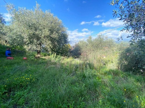 terreno agricolo in vendita ad Arcola