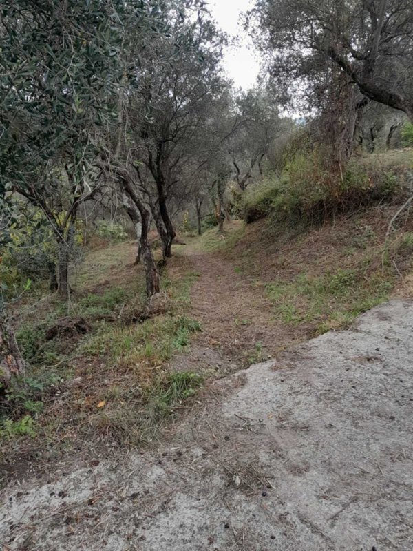 terreno agricolo in vendita ad Arcola in zona Ressora