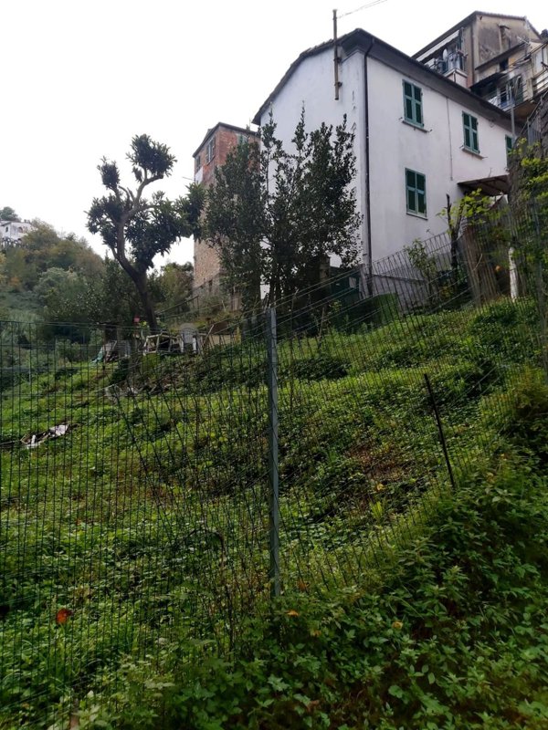 pentavano in vendita ad Arcola