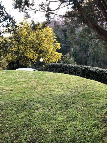 casa indipendente in vendita ad Arcola