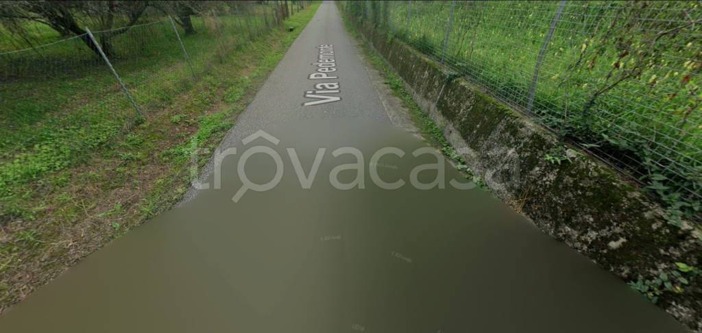 terreno agricolo in vendita ad Arcola