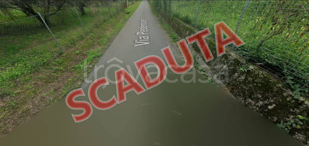 terreno agricolo in vendita ad Arcola