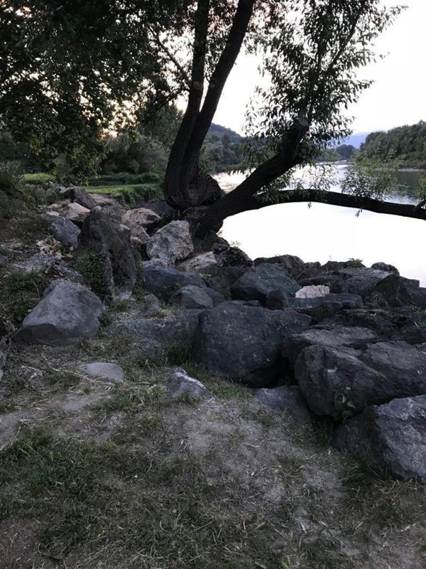 terreno agricolo in vendita ad Arcola