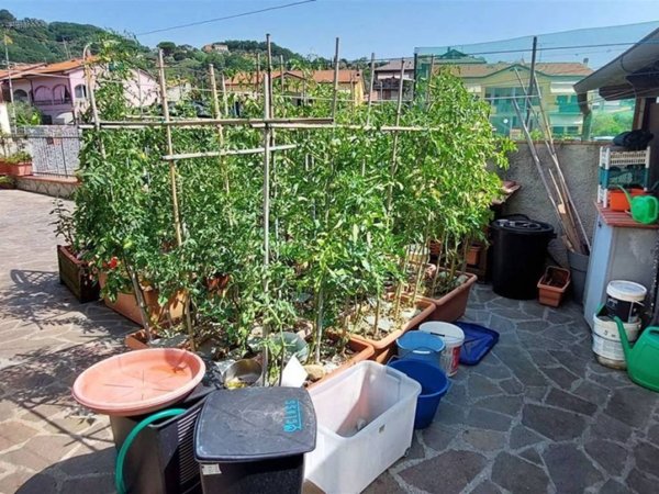 casa indipendente in vendita ad Arcola in zona Romito Magra
