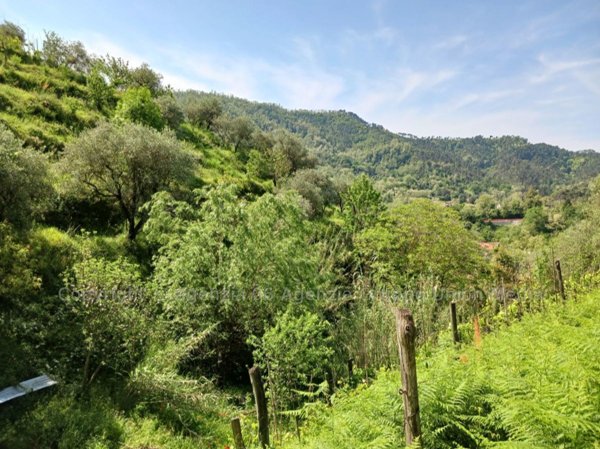 casa indipendente in vendita ad Arcola