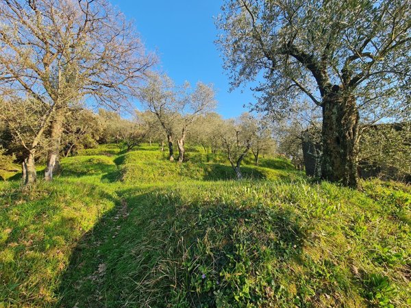 casa indipendente in vendita ad Arcola in zona Trebiano