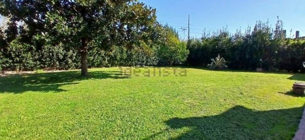 casa indipendente in vendita ad Arcola