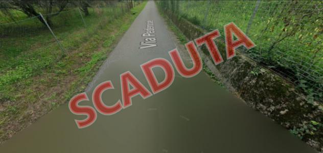 terreno agricolo in vendita ad Arcola