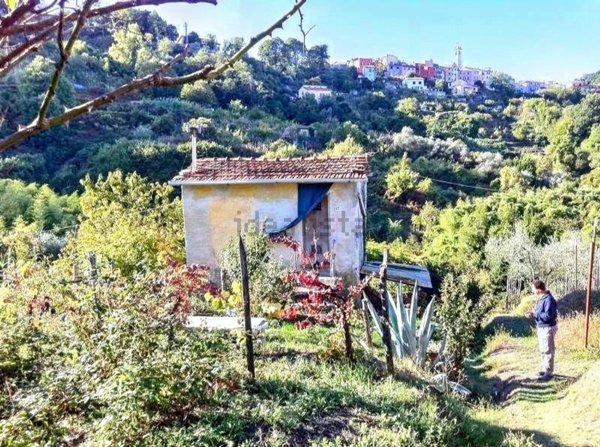appartamento in vendita ad Arcola