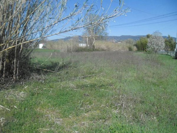 terreno agricolo in vendita ad Arcola