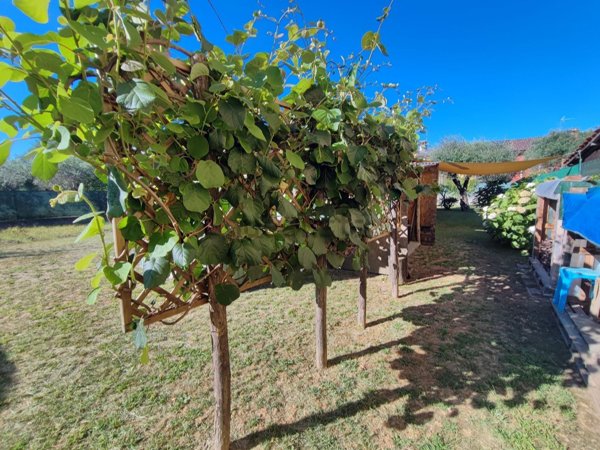 appartamento in vendita ad Arcola