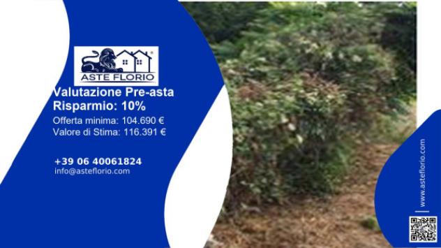 terreno agricolo in vendita ad Arcola