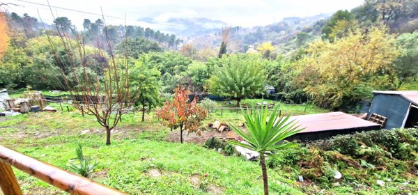 casa indipendente in vendita ad Arcola