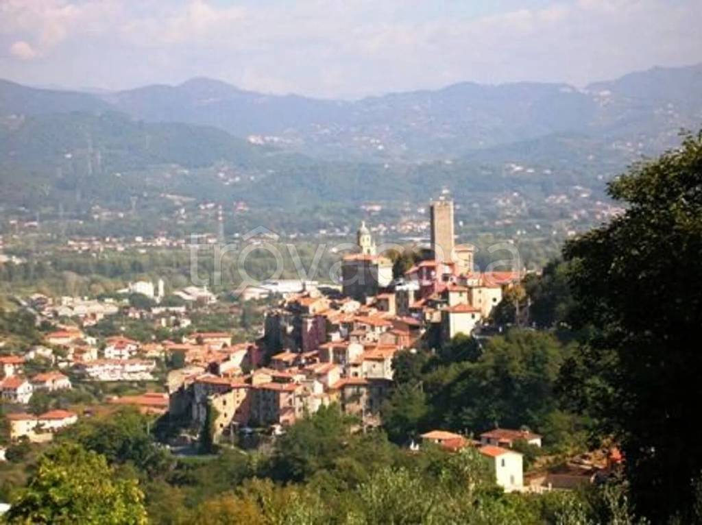 casa indipendente in vendita ad Arcola