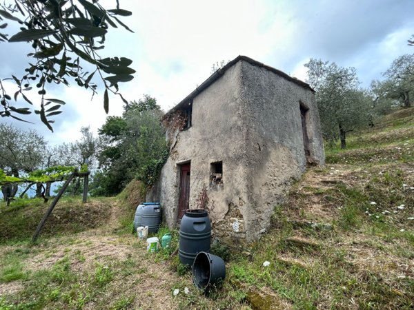 terreno agricolo in vendita ad Arcola in zona Trebiano