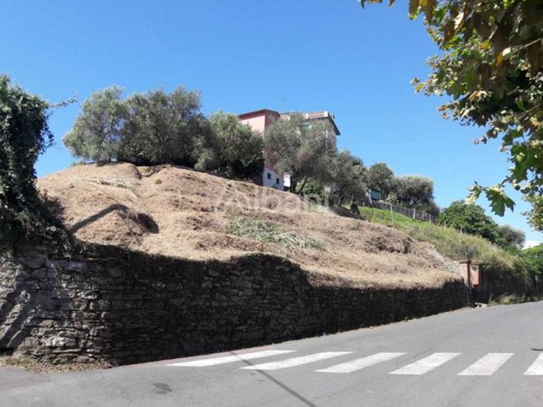 terreno agricolo in vendita ad Arcola in zona Baccano