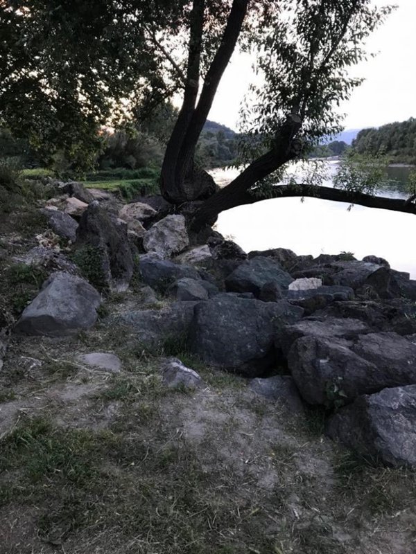 terreno agricolo in vendita ad Arcola in zona Romito Magra