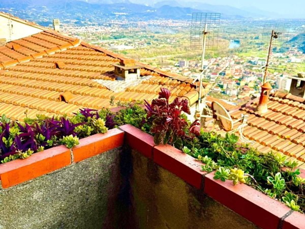 casa indipendente in vendita ad Arcola in zona Trebiano