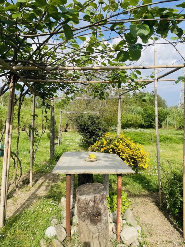 terreno agricolo in vendita ad Arcola