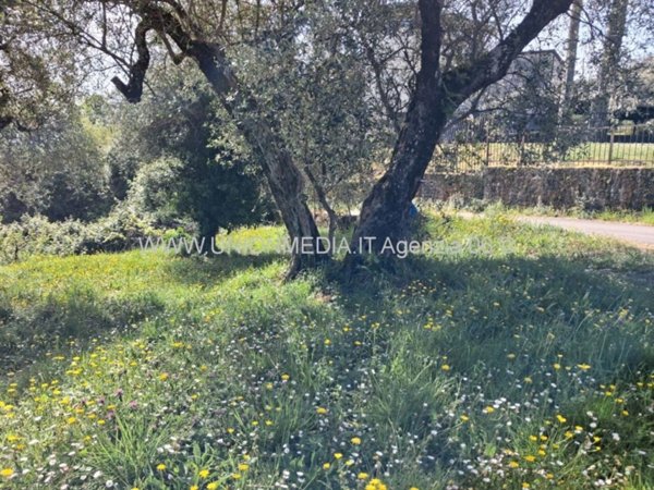 terreno agricolo in vendita ad Arcola