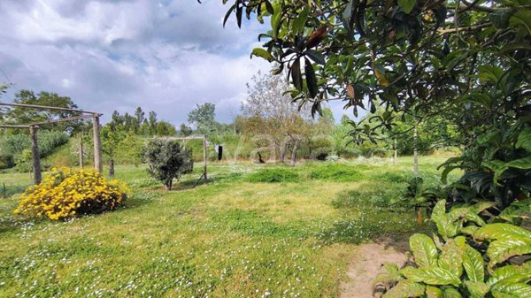 terreno agricolo in vendita ad Arcola