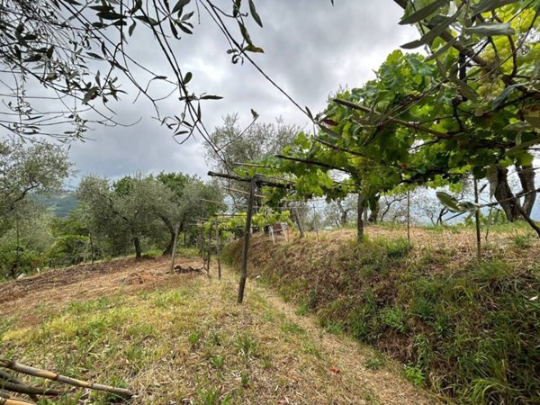 terreno agricolo in vendita ad Arcola in zona Trebiano