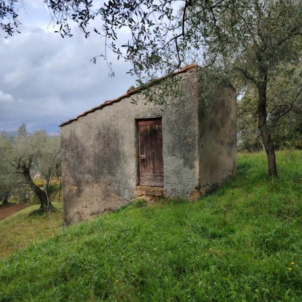 terreno agricolo in vendita ad Arcola in zona Trebiano