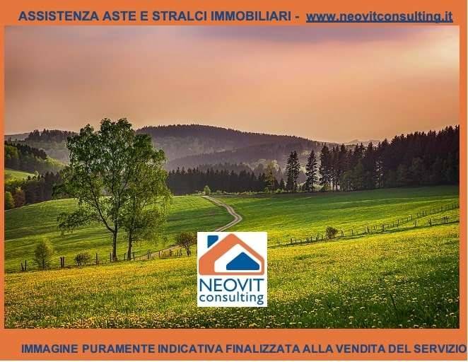 terreno agricolo in vendita ad Arcola