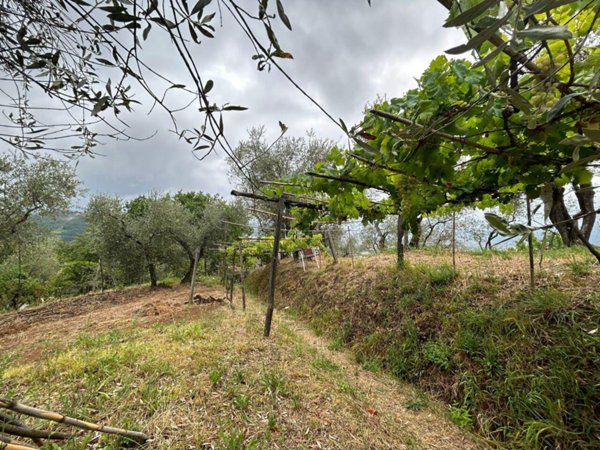 terreno edificabile in vendita ad Arcola in zona Trebiano