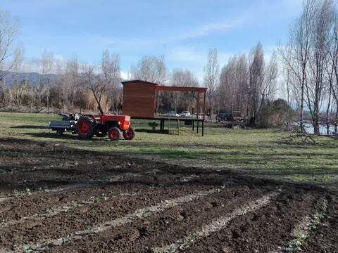 terreno agricolo in vendita ad Arcola