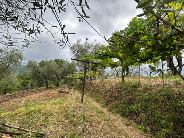 casa indipendente in vendita ad Arcola in zona Trebiano