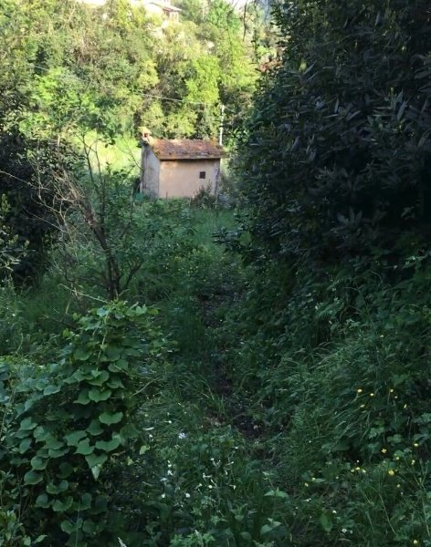 appartamento in vendita ad Arcola in zona Ressora
