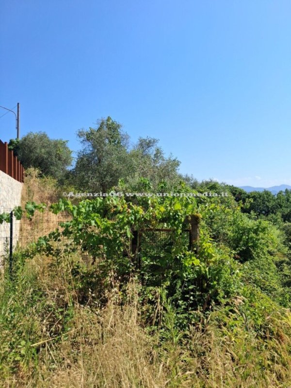 appartamento in vendita ad Arcola