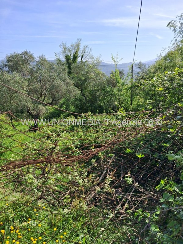 terreno edificabile in vendita ad Arcola in zona Ressora