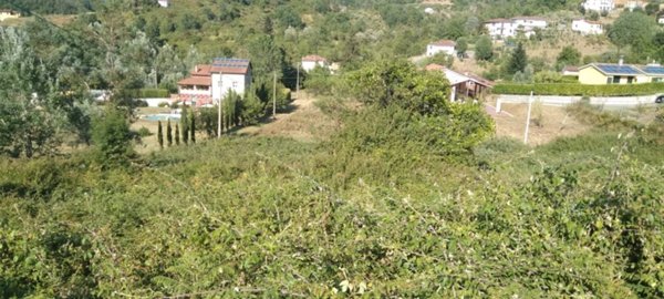 terreno edificabile in vendita a Beverino