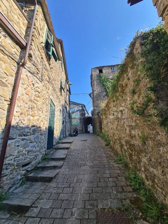 casa indipendente in vendita a Beverino