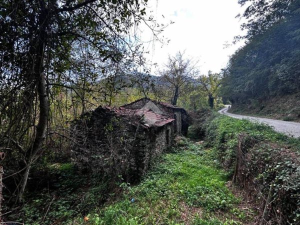 appartamento in vendita a Beverino