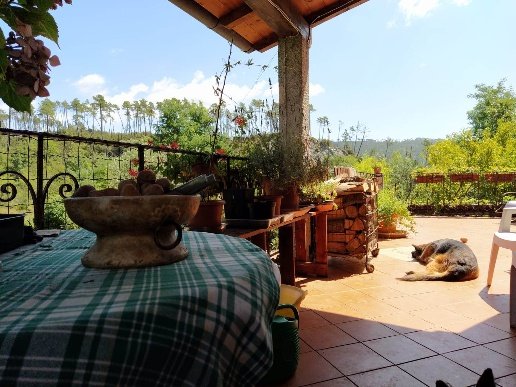 casa indipendente in vendita a Beverino