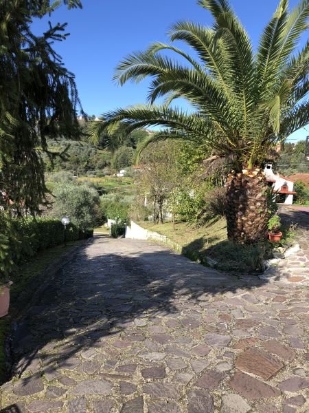 casa indipendente in vendita a Bolano