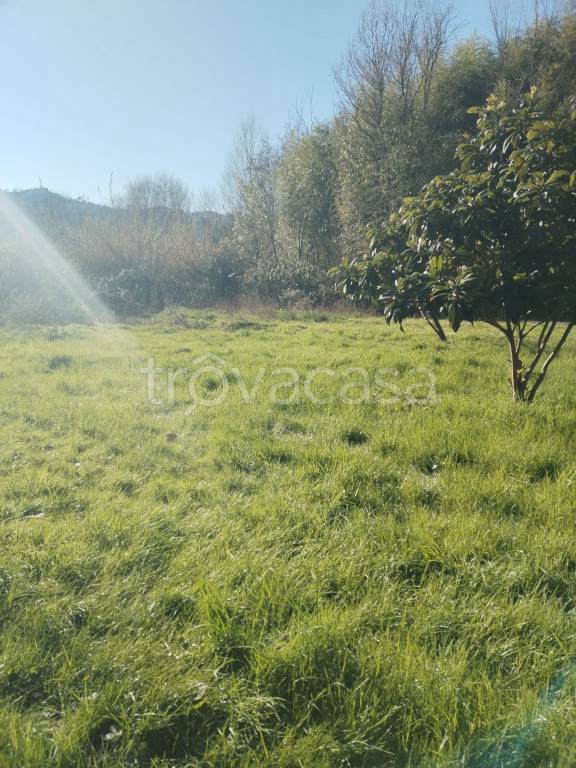terreno agricolo in vendita a Bolano