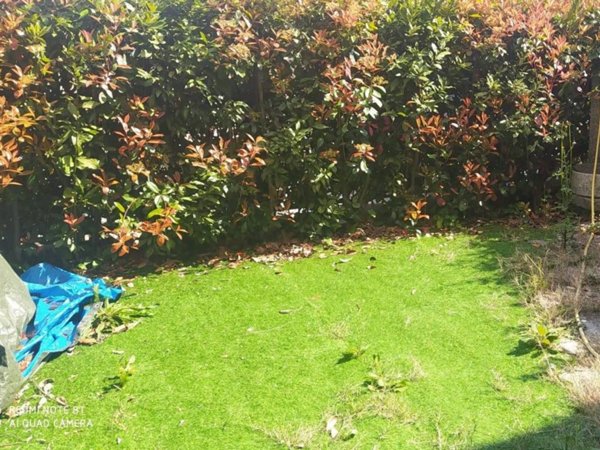 immagine annuncio 0 di 1