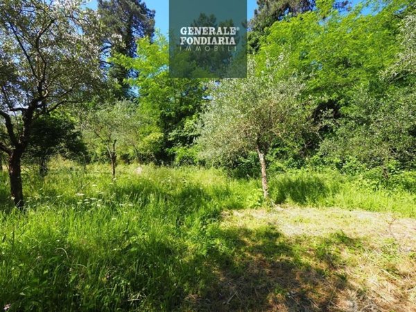 terreno agricolo in vendita a Bolano