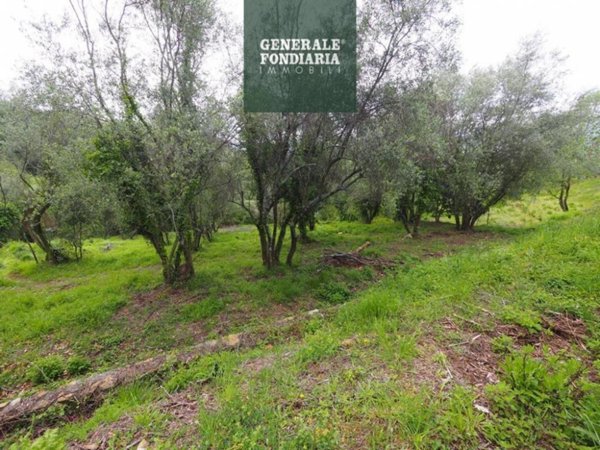 terreno agricolo in vendita a Bolano