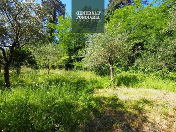 terreno agricolo in vendita a Bolano
