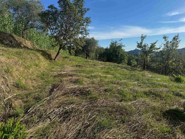 terreno agricolo in vendita a Bolano in zona Montebello